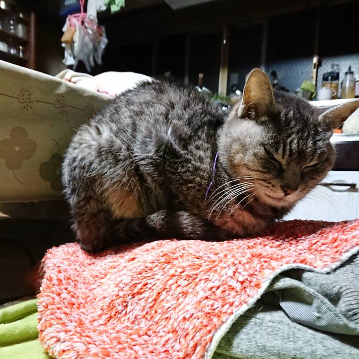 F02c09c9 efce 4e4d 9fb0 78b4049d2311 1581800811703