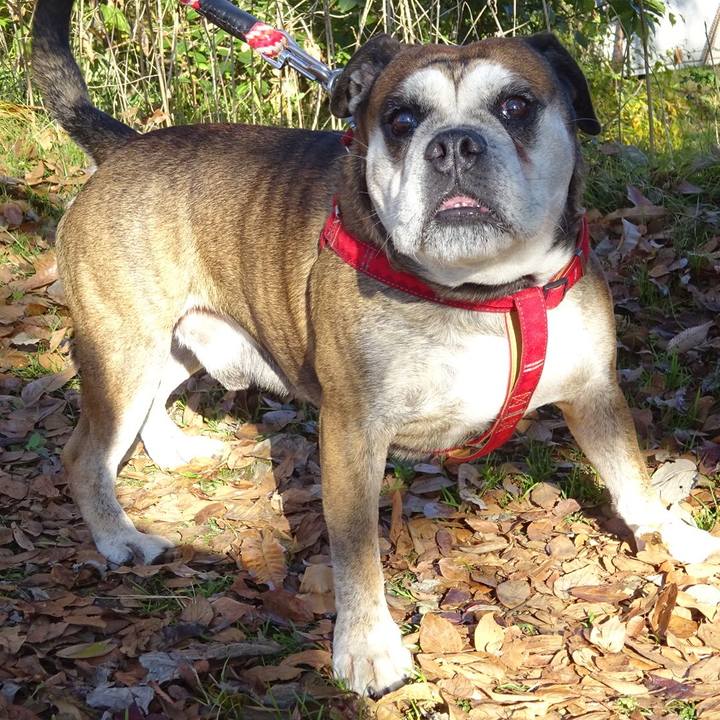 F02c1a1b 3862 47e2 ae7d a682831b3e6a 1575809394301