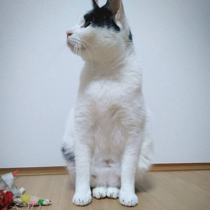 F02c872a c9af 49a3 90f3 3e9b06dc5e2f 1545910375127