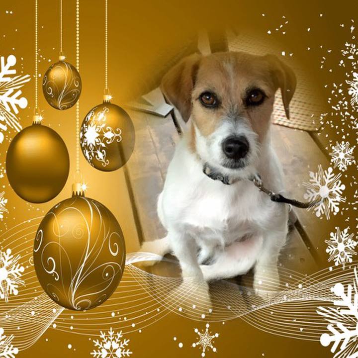 F02cbd86 77f7 465e 9070 8037f00c1766 1577286840990