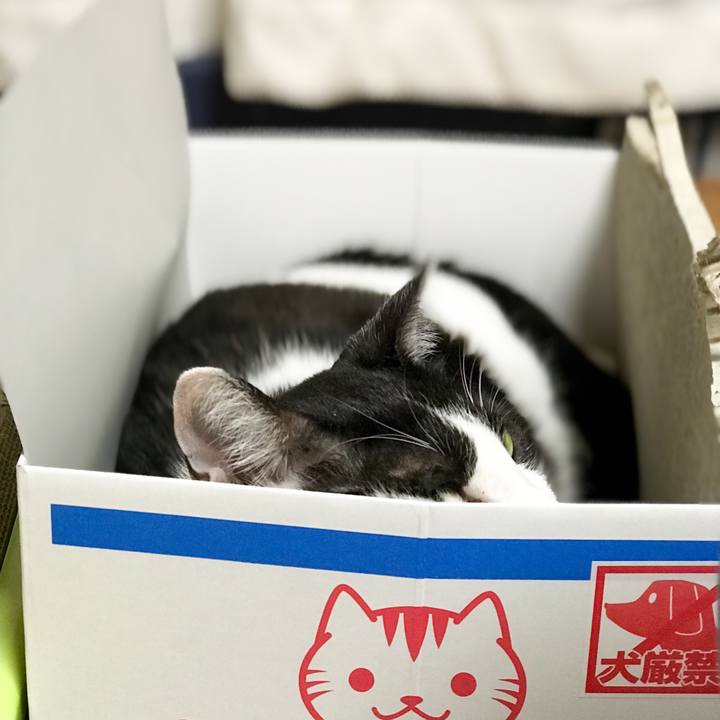 F02cbe78 571e 4aae 8956 4ff9ad3754f8 1534428414937