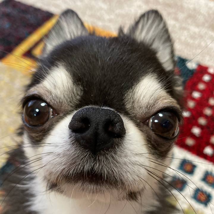 F02d1bc4 7907 420f 9473 a2ec50620aaa 1686437007174