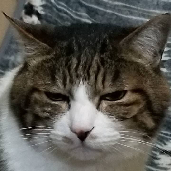 F02d2b12 415d 44c7 8179 6c9806413c00 1584791579262