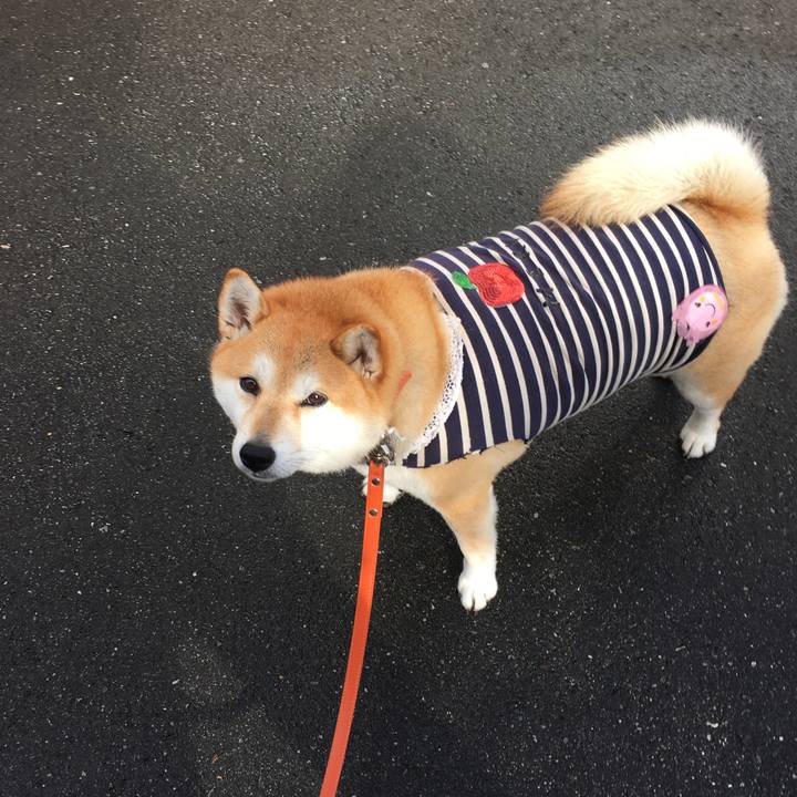 F02d492b 246a 41f4 9898 85e294f11ab2 1571719810057