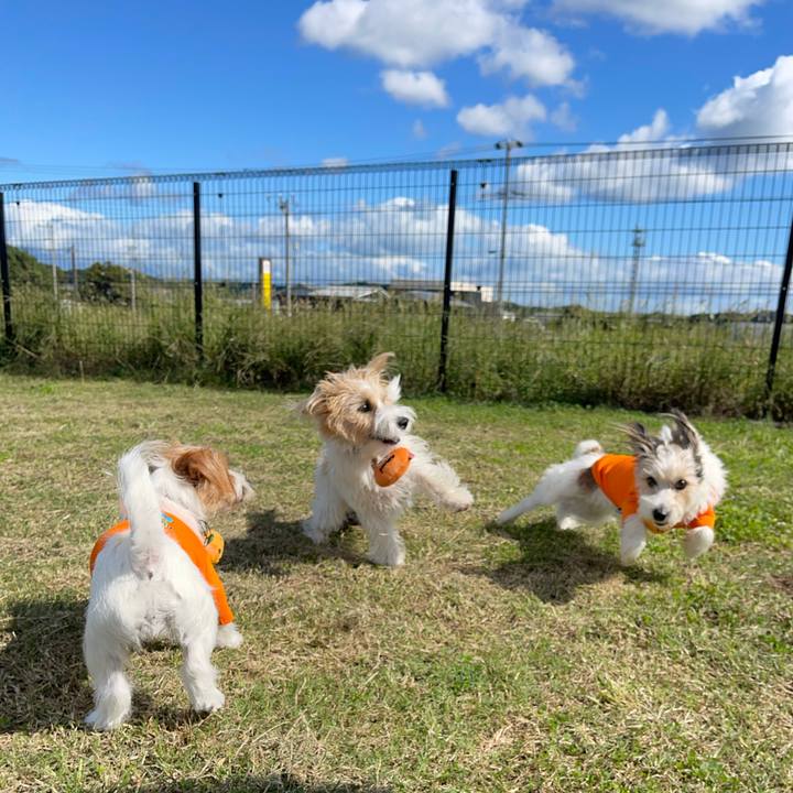 F02d622e c0d9 49c7 a7b2 02249bd598e8 1760702425742