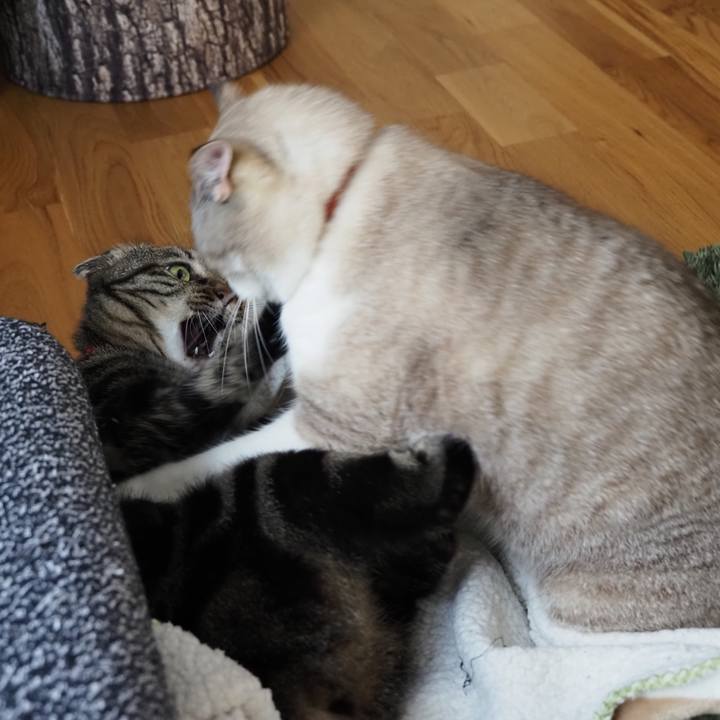 F02d8f9a 6eb0 4125 9c00 621876a88a91 1602387287321