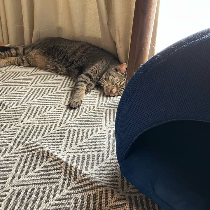 F02da2b5 64b2 45ab 9554 d793db40254f 1756846510086