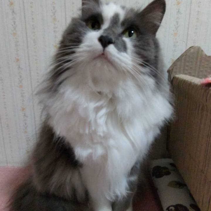 F02e14de f564 4b2a 83e6 1540a189333f 1650280515210