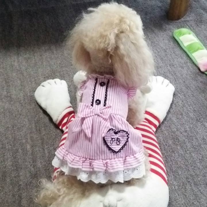 F02e1e2e ecfe 4f7d bded 8297834346b7 1528693578790