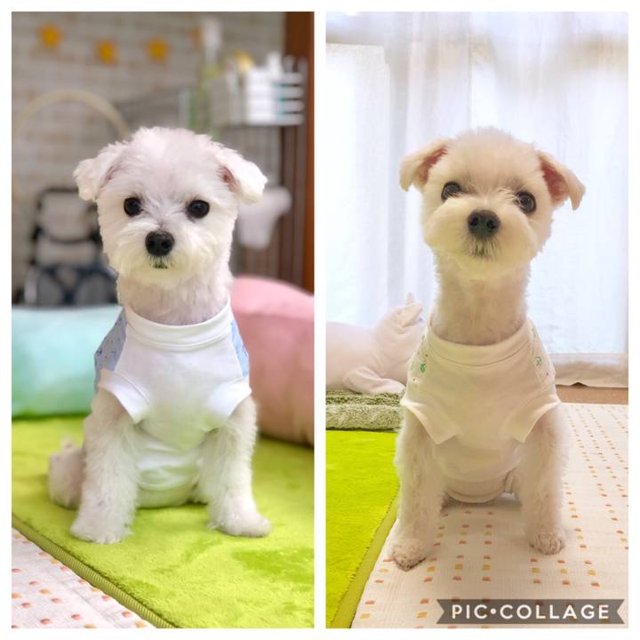 F02e2cf1 6acf 40f0 910f c584e15a365b 1564819869887