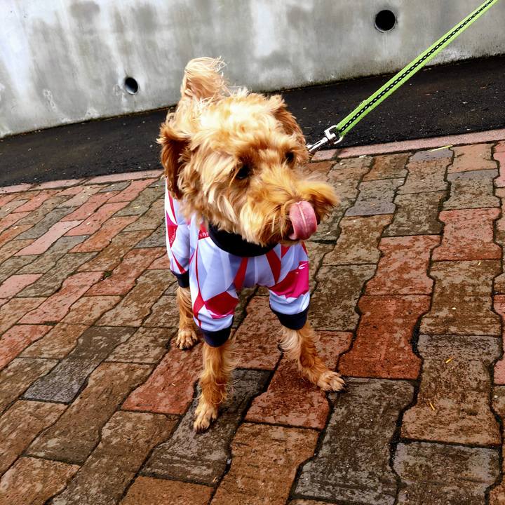 F02e3a9f d11f 47b8 8186 bcaefc292733 1593314531205