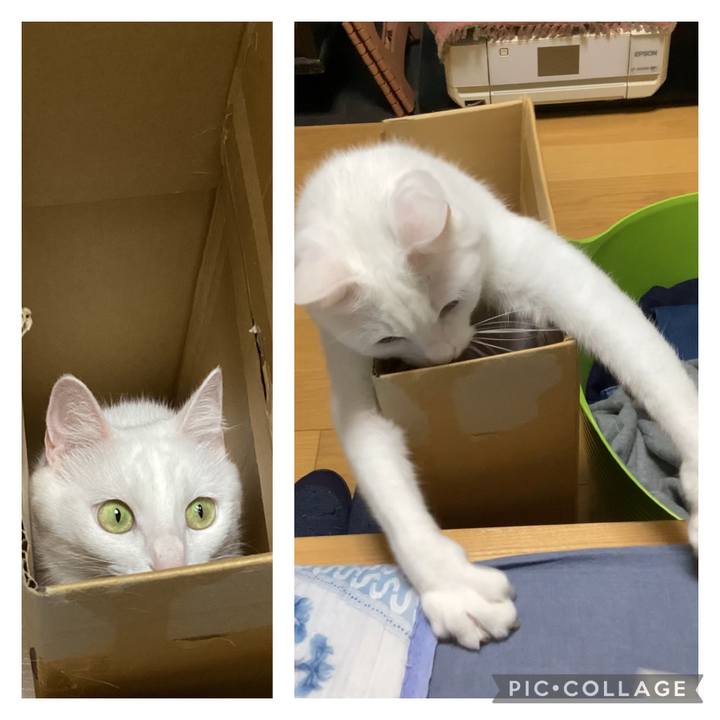 F02e3d73 6b0c 4ec7 8d21 1710654a65e6 1691710596878