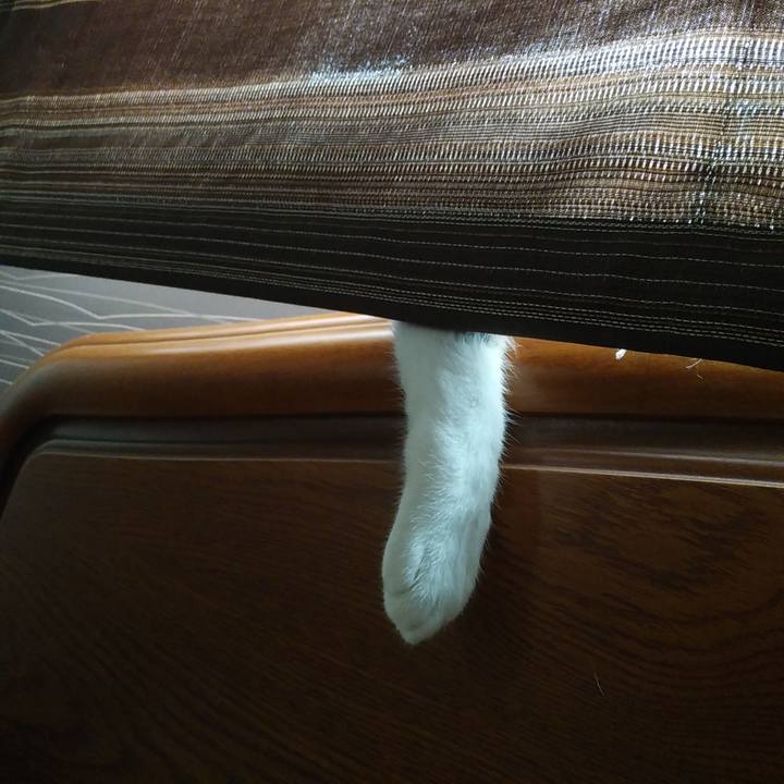 F02e535c 05d0 45c5 8a11 e27bbbf72987 1594341769898