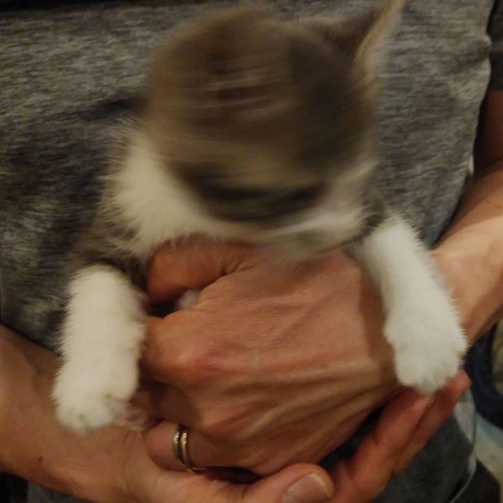 F02e752a e131 4e23 93c1 efaca57bf9f0 1560218974159