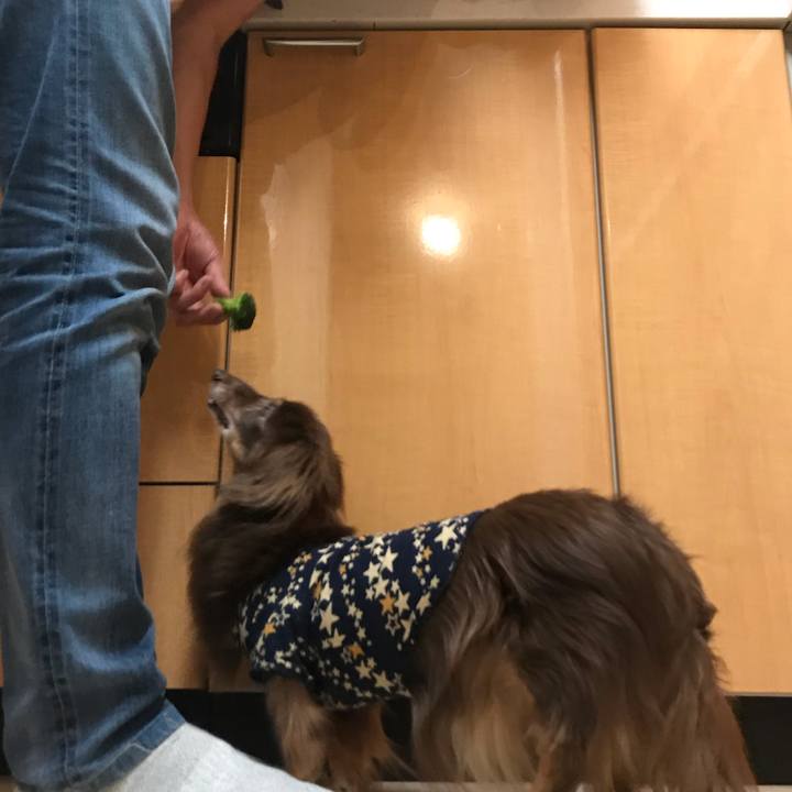 F02e95e8 2f59 4133 a362 1b3367ac4d56 1538235024290