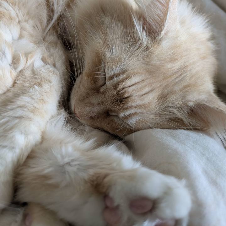 F02eaffd 98f2 40ef 8e09 fb8615b20484 1760403676082