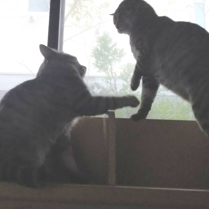 F02eef3b 5e78 49f1 8dd7 75ad3e5b0a01 1601623857838