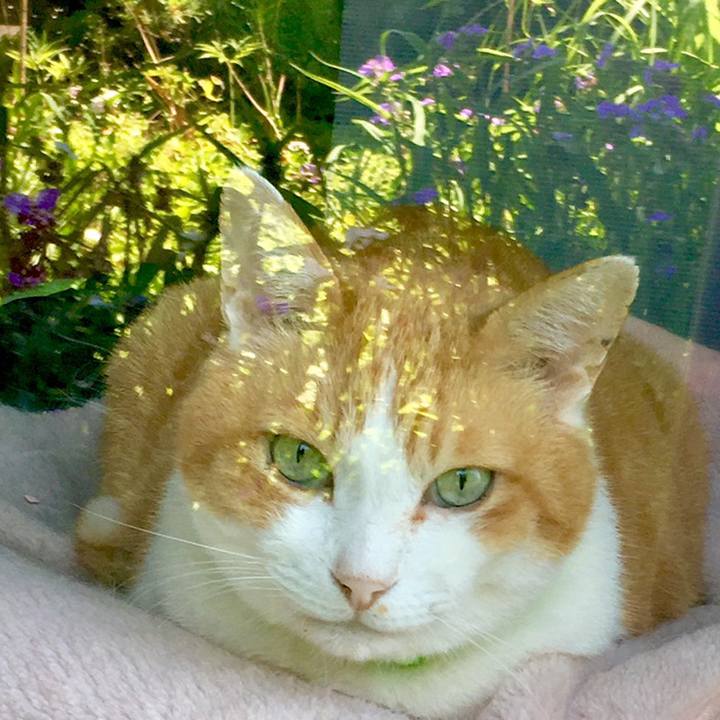 F02ef44b 0ef0 4387 a3ce b9920778e97e 1559443963001