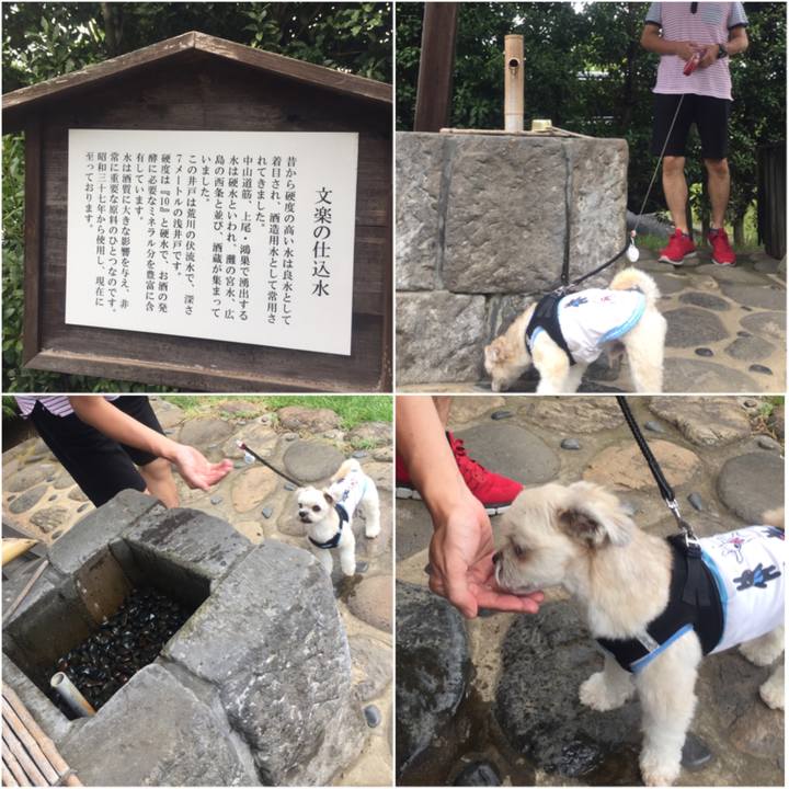 F02ef6a8 e57d 451d af40 56a79e20bba8 1532767118248