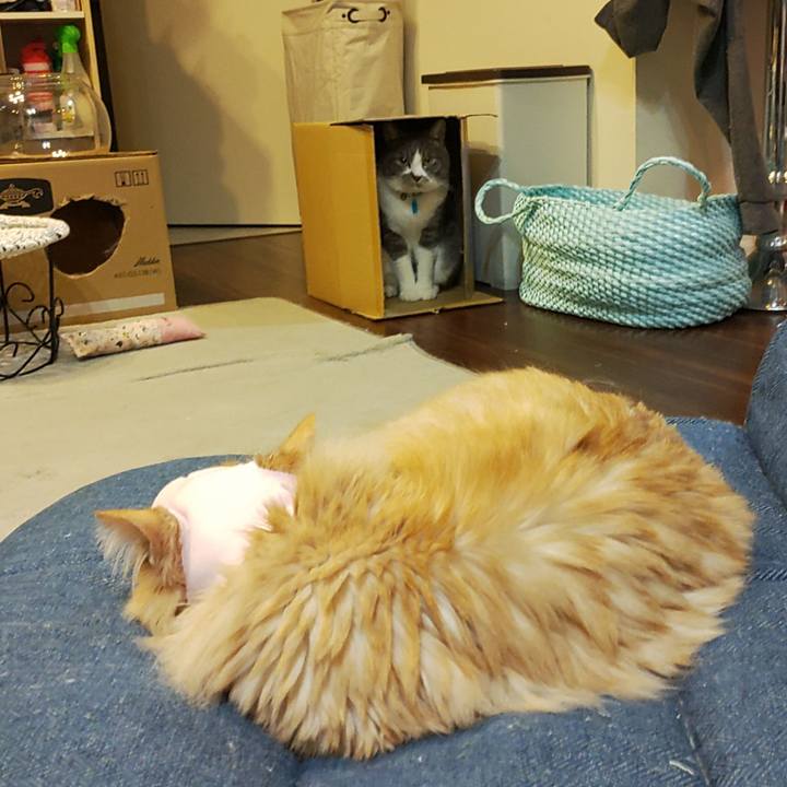 F02f054d 06d4 4a2b 8f27 5fc7f3378606 1682426853028