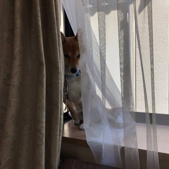 F02f3643 f5e0 4624 a147 9a3e9c45aecb 1587946265831