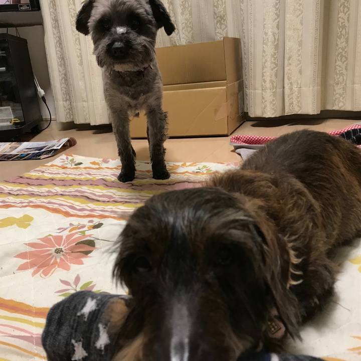 F02f5133 35ad 4b80 83b9 8cbf935b0a21 1524929060129