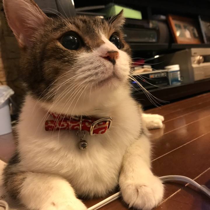 F02f57f6 8e31 4a89 8135 e60f81363610 1557631069662