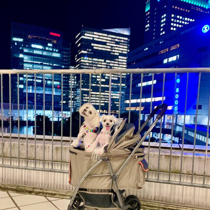 F02f6e14 1970 439b 9de1 3952e0cd58aa 1630145316640