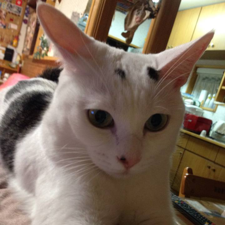 F02f81b6 280b 4f76 be73 f54d21349025 1508846427317