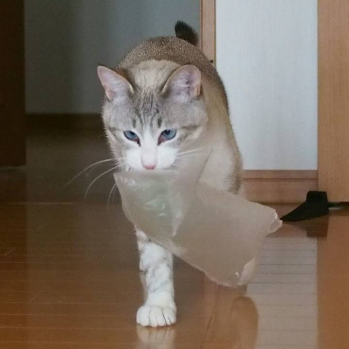 F02f8c00 a4cb 47b5 8ea1 378b9bb7ac5a 1526041348268