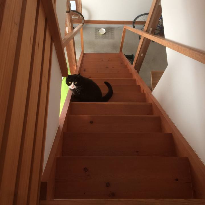 F02fbeee 30cb 4891 999e 018b32a00093 1520901818537