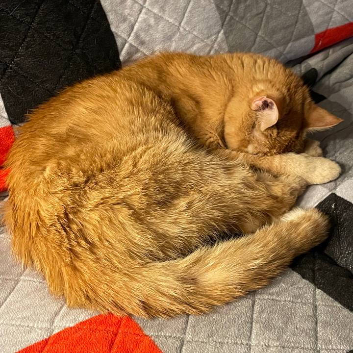 F02fcd4b 8fde 4884 88cf acc134f9b0e6 1769135190392