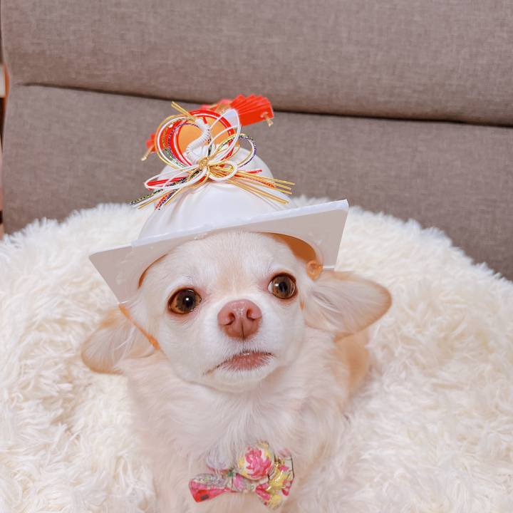 F02fdfb5 be53 4698 8ede 18b51b48a1e1 1673437746639