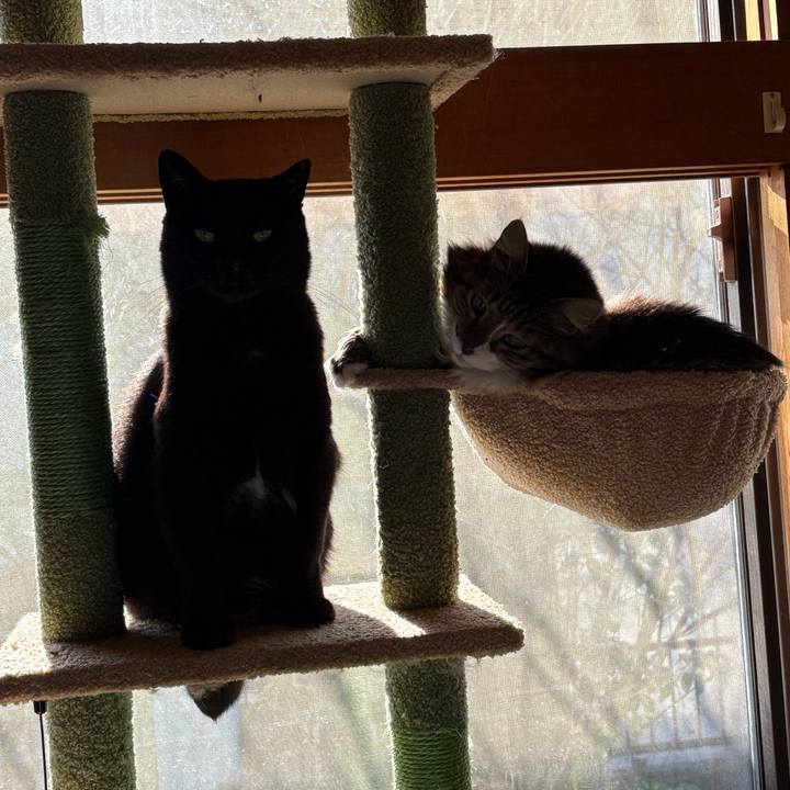 F02fe86f f23c 4778 bcb6 749f973973ae 1766798308077