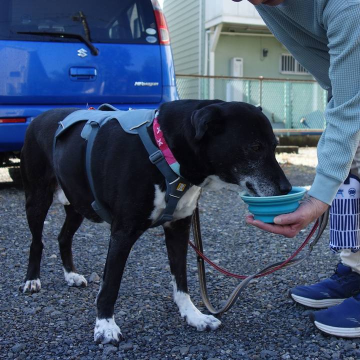 F0302eb7 9648 46cd 82b3 f791dd57f85d 1746232483458