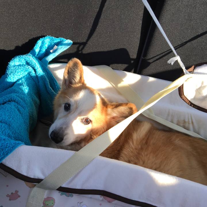 F0303475 7797 45e1 9e7d cadb30d5adeb 1575333320223