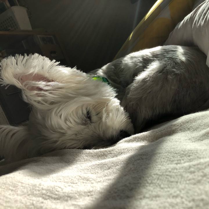 F0306373 1ad1 4856 b0e8 f637b90d74a7 1601963659516