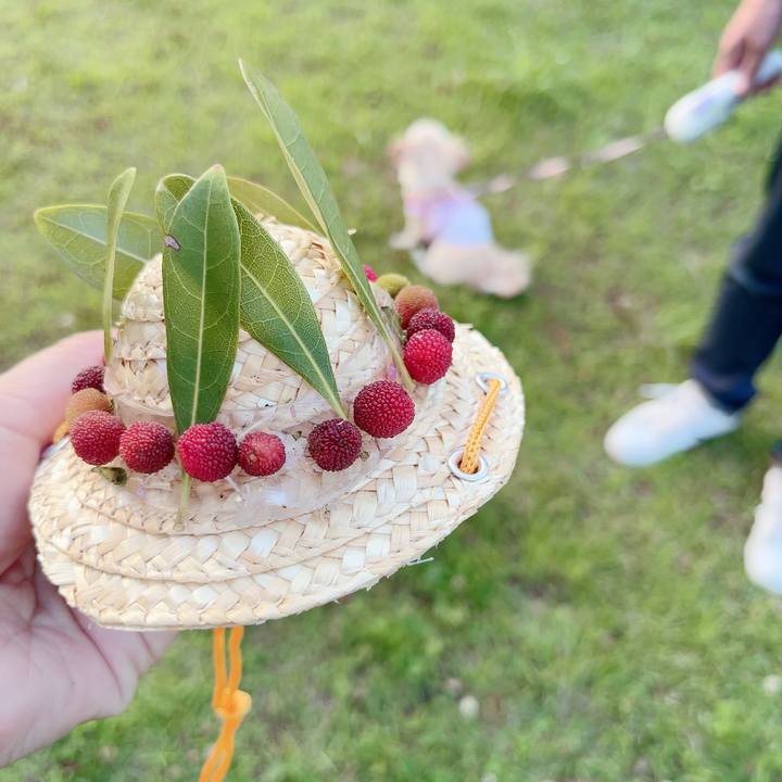 F0308f9c 4dbe 4dd0 9549 d105b9437113 1686996090517