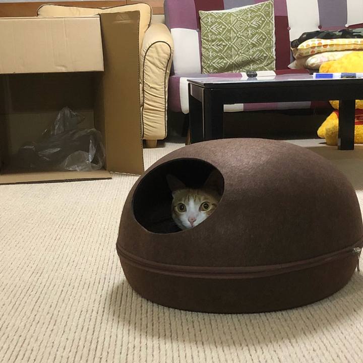 F03097b3 5fa9 4708 9f5f 3dc6df09d6ce 1538820983757