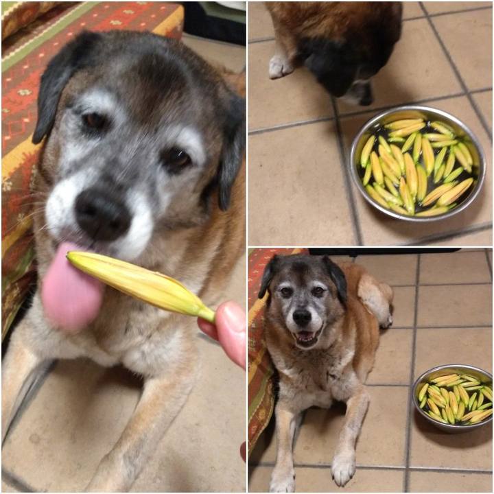 F0309bcc 8b0b 44ca bac4 46c7247d1791 1562762654158