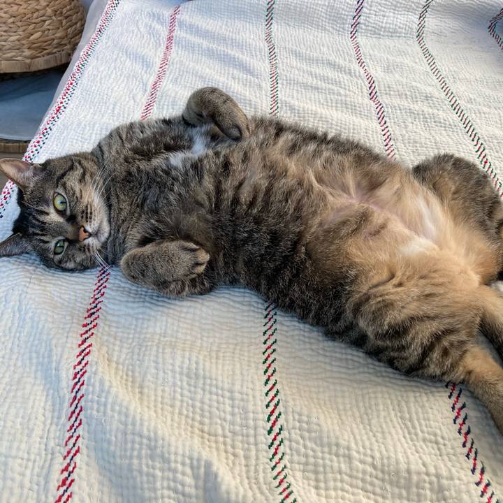 F0310c16 f733 4a6c b721 37b83534e02d 1716091357434