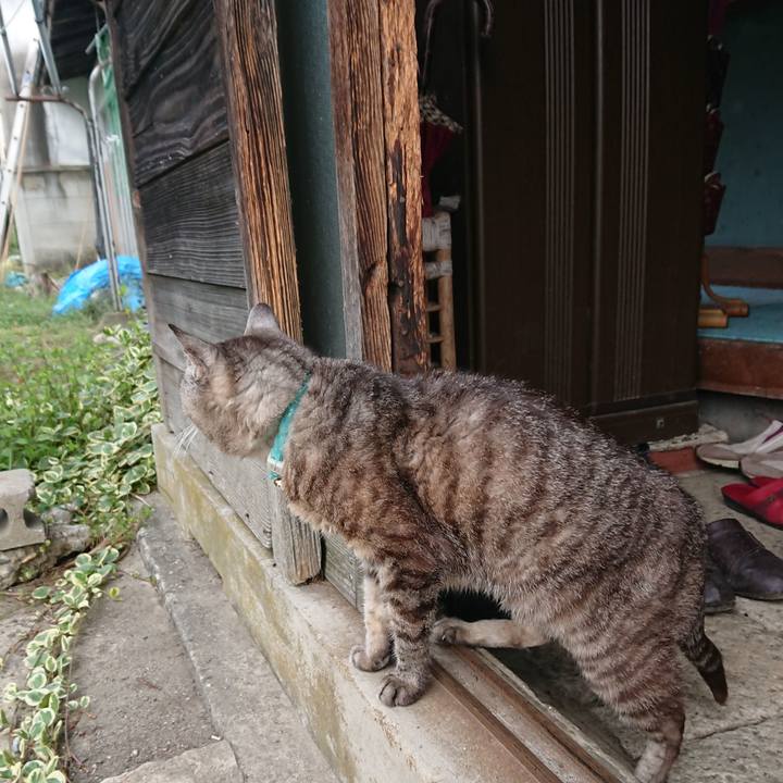 F0313cea 0274 4d0b 855b e144f4d1d370 1569018620467