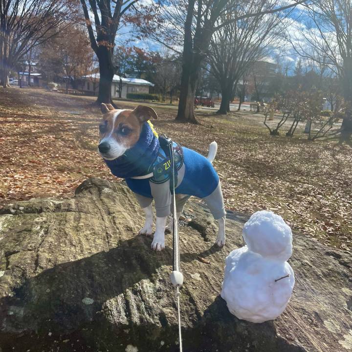 F0315110 d02e 43fa a6f1 c449e17afadd 1735029764046