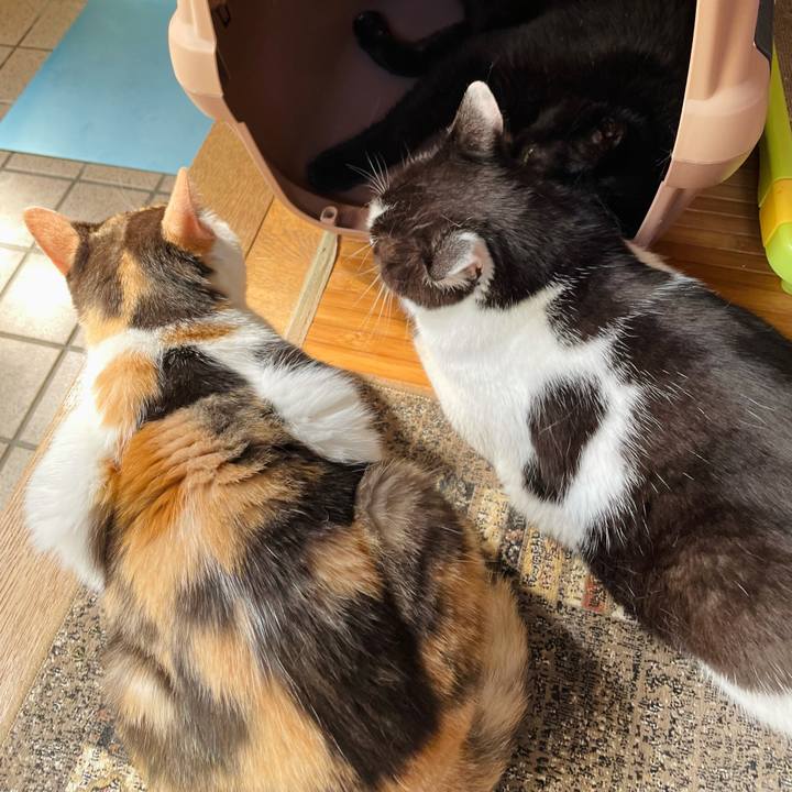 F0317162 f9ca 4d5a ab5f f4502f48c9a5 1627435094523