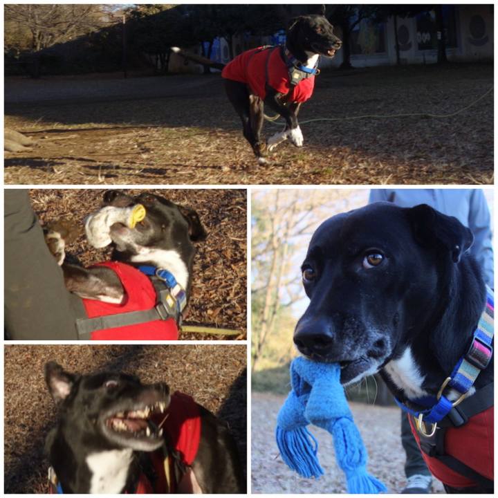 F03175b3 0414 4405 92bc d1fbf6ae0567 1642467089671