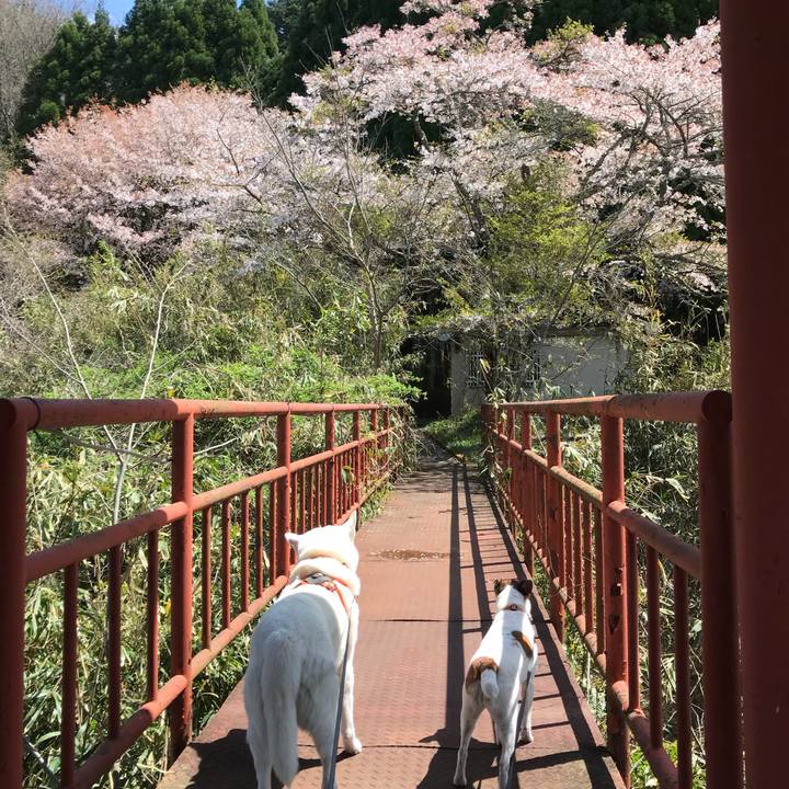 F031801b 19b4 47c7 a084 a4fc02ed3467 1523178025734