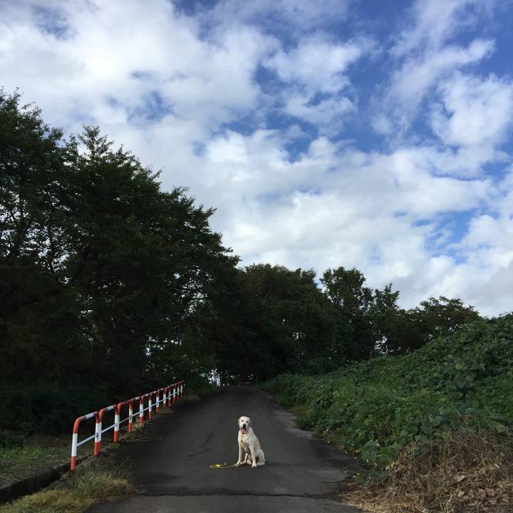 F031dc9a bd2c 4a47 b4f6 cd567cd70a46 1538895446053