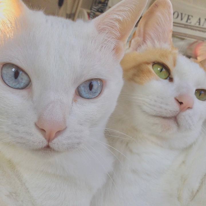 F031fb79 3cfa 458f 99c4 f5b59edd7eeb 1615211032478