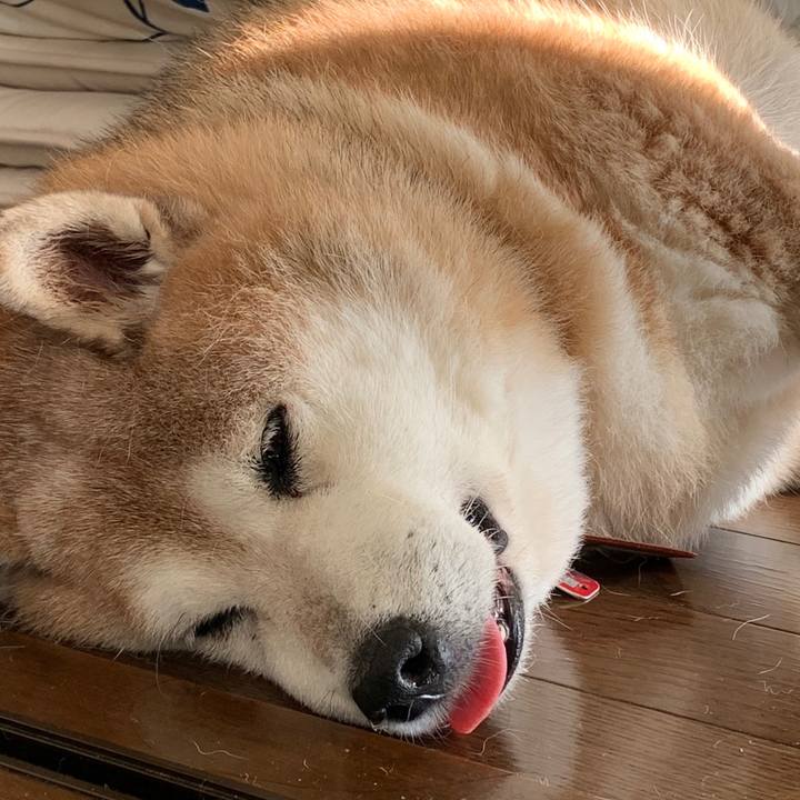 F03206ff 512a 49c8 89fe f9c60d307be2 1601880488130