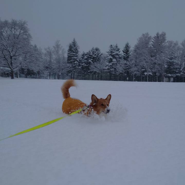 F0321dfd 4704 49c9 8c74 62223810b741 1765408093083